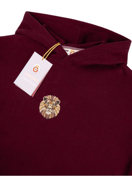 Gsstore x Reflect Studio Aslan Hoodie E242400 fırsatları