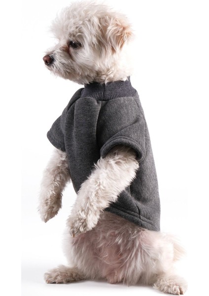 Köpek Kıyafeti Sweat Shırt Gri Ribanalı indirimleri