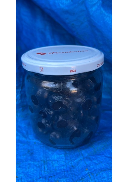 Zeytin