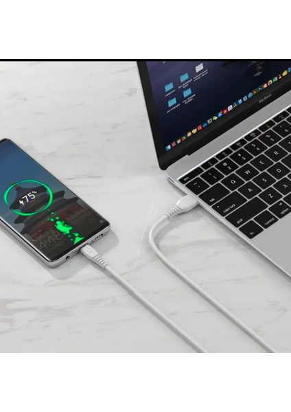 USB TYPE-C HIZLI SARJ KABLOSU 2M(3A)YERLİ ÜRETİM