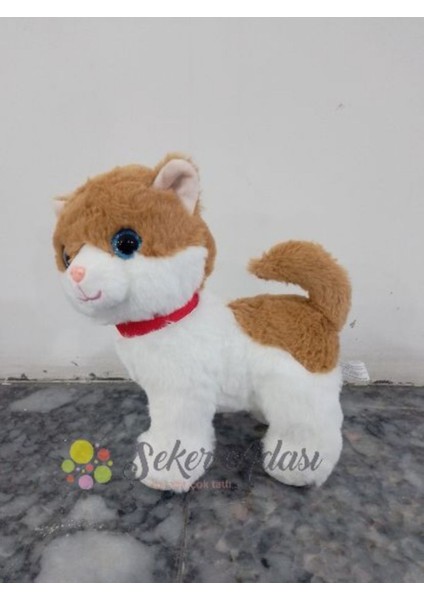 Sevimli Ayakta Duran Miyavlayan Peluş Kedi 20 cm Sesli Kedi Oyuncak 5 fiyatları
