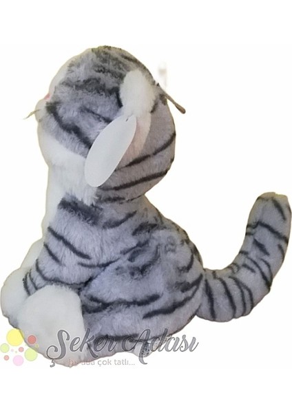 Sevimli Kedi 28 cm modelleri