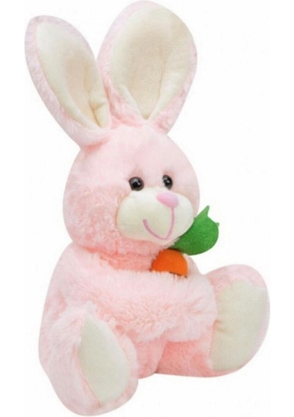 Sevimli Arkadaşım Minik Tavşan 15 Cm.