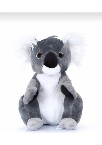 Sevimli Tombiş Peluş Koala Oyuncak 25 cm