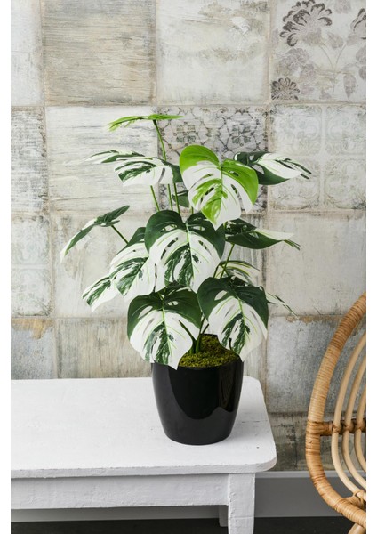 Yapay Salon Köşe Çiçeği Devetabanı Beyaz 65 cm fiyatları