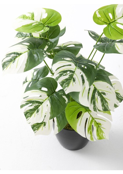 Yapay Salon Köşe Çiçeği Devetabanı Beyaz 65 cm fırsatları