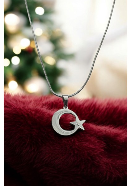 Çelik Plaka Ay Yıldız Yılan Zincir Kolye fiyatları