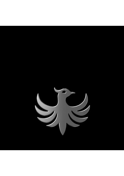 925 Ayar gümüş kolye anka kuşu SM1429