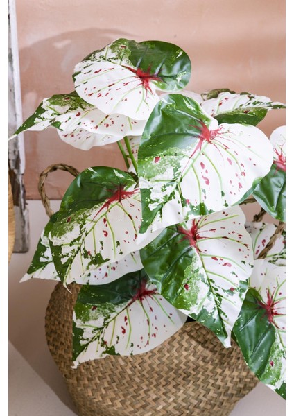 Yapay Salon Köşe Çiçeği Devetabanı Yeşil Pembe 65 cm Saksısız fiyatları