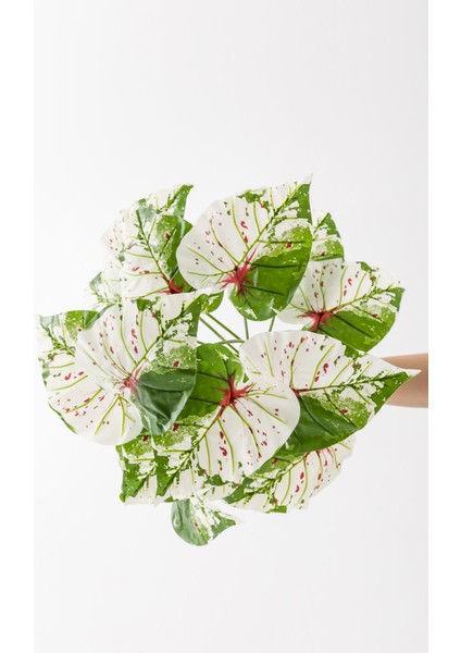 Yapay Salon Köşe Çiçeği Devetabanı Yeşil Pembe 65 cm Saksısız modelleri