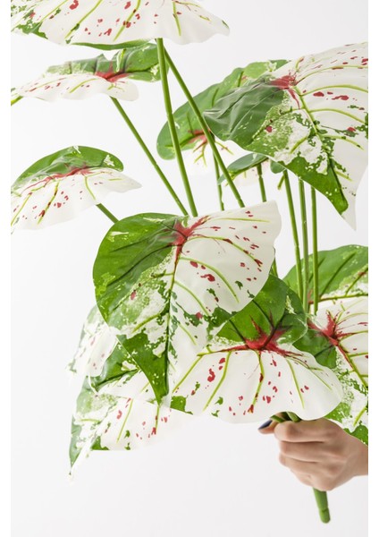 Yapay Salon Köşe Çiçeği Devetabanı Yeşil Pembe 65 cm Saksısız indirimleri