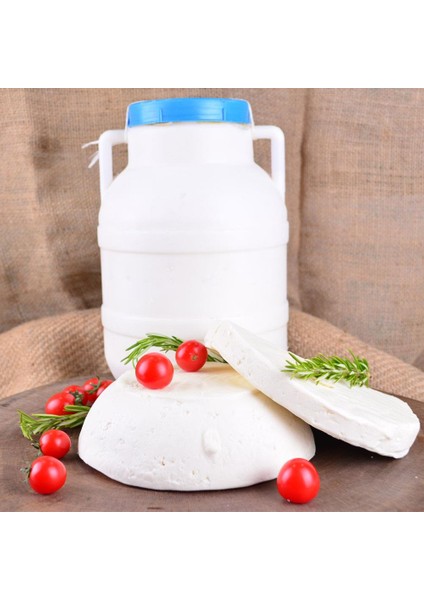 Erzincan Şavak Bidon Tulum Peyniri 1 kg