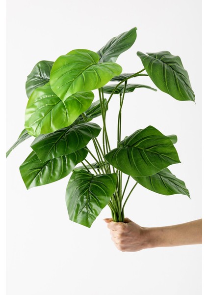 Yapay Salon Köşe Çiçeği Devetabanı Yeşil 65 cm Saksısız