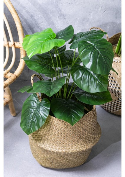 Yapay Salon Köşe Çiçeği Devetabanı Yeşil 65 cm Saksısız fiyatları