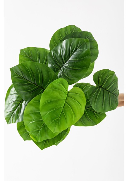 Yapay Salon Köşe Çiçeği Devetabanı Yeşil 65 cm Saksısız modelleri