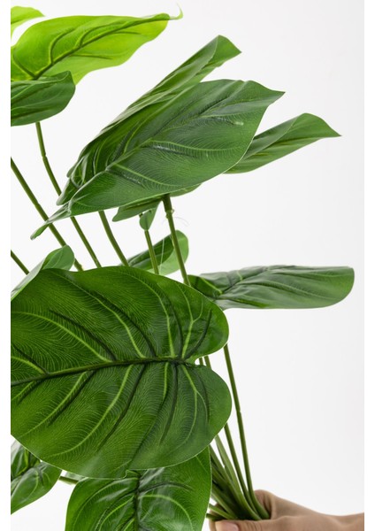 Yapay Salon Köşe Çiçeği Devetabanı Yeşil 65 cm Saksısız indirimleri