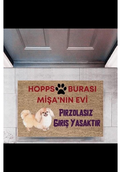 Kapı Önü Paspası Dekoratif Dijital Baskı Hopps P-2474