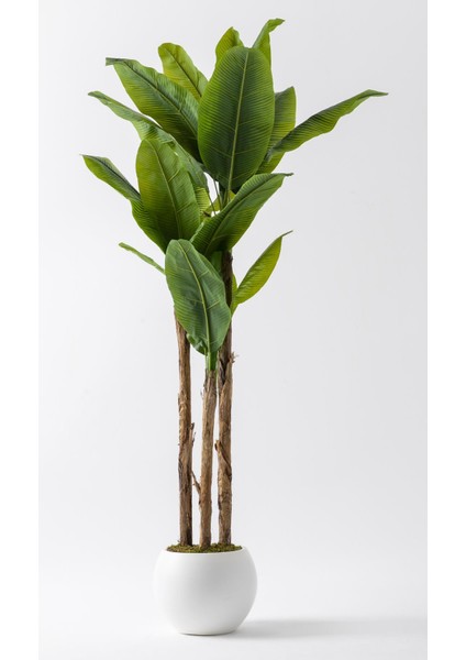 Yapay Muz Ağacı 220 cm Küre Plastik Saksı