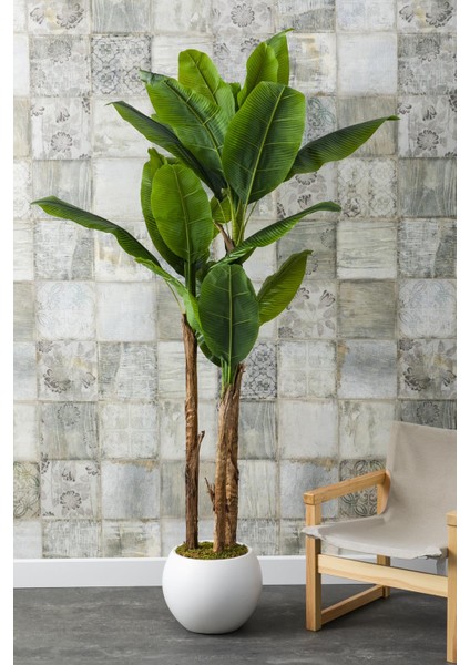 Yapay Muz Ağacı 220 cm Küre Plastik Saksı fiyatları