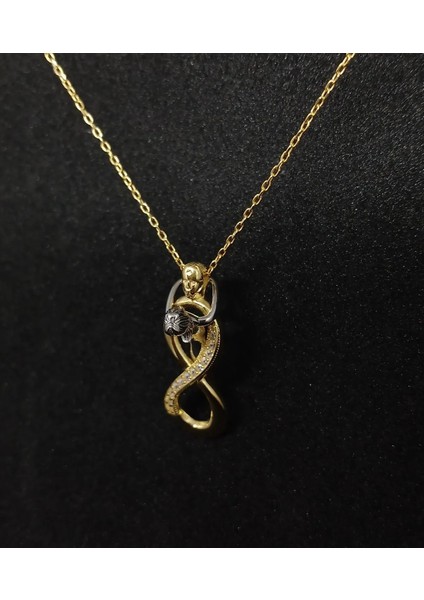 925 Ayar Gümüş Sonsuzluğa Sarılmış Kadın Kolyesi fiyatları