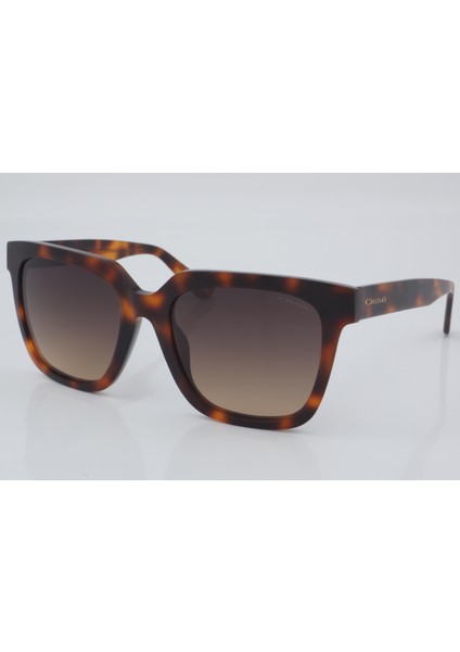 OS 3470 C2 55 - 01 Güneş Gözlüğü fiyatları