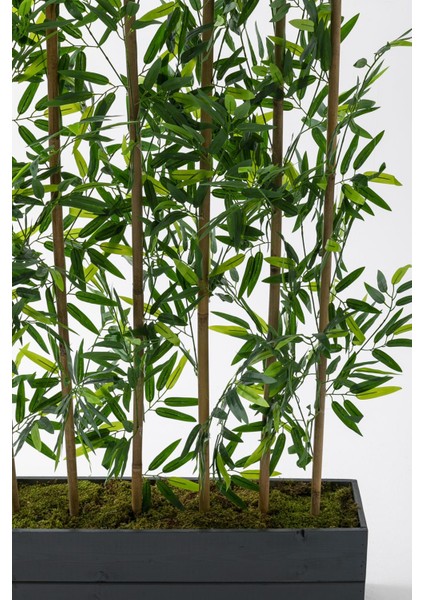 Yapay Bambu Seperatör 180 cm Ahşap Antrasit Saksı