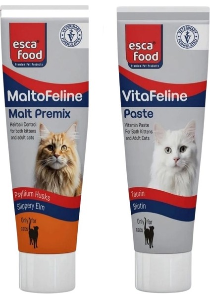 Malt + Multivitamin Paste