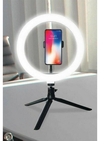 10INÇ 26CM Youtube Instagram Tiktok Selfie Stüdyo Video Fotoğraf Ring Light Tripod LED Hal modelleri