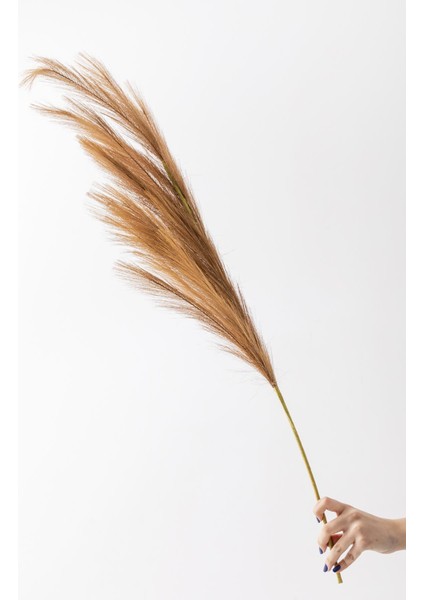 Yapay Pampas Çiçeği 100 cm Tek Dal Kahverengi