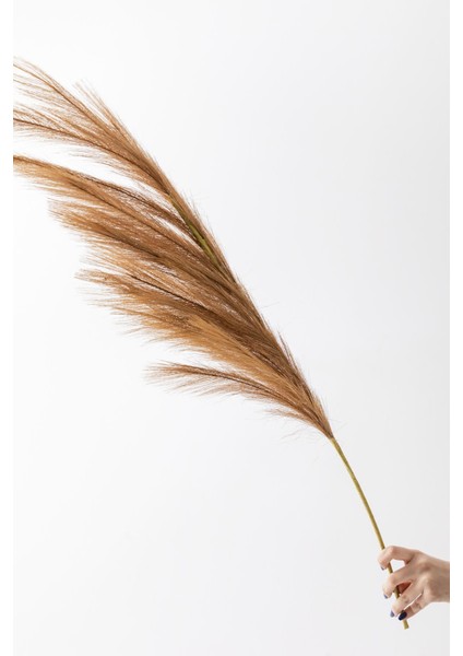 Yapay Pampas Çiçeği 100 cm Tek Dal Kahverengi