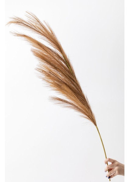 Yapay Pampas Çiçeği 100 cm Tek Dal Kahverengi