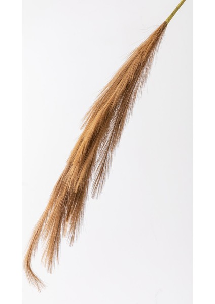 Yapay Pampas Çiçeği 100 cm Tek Dal Kahverengi