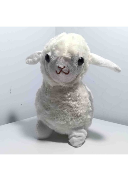 Peluş Kuzucuk