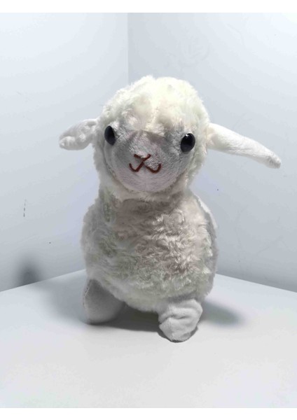 Peluş Kuzucuk