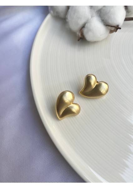 Kalpli Çelik Gold Küpe fiyatları