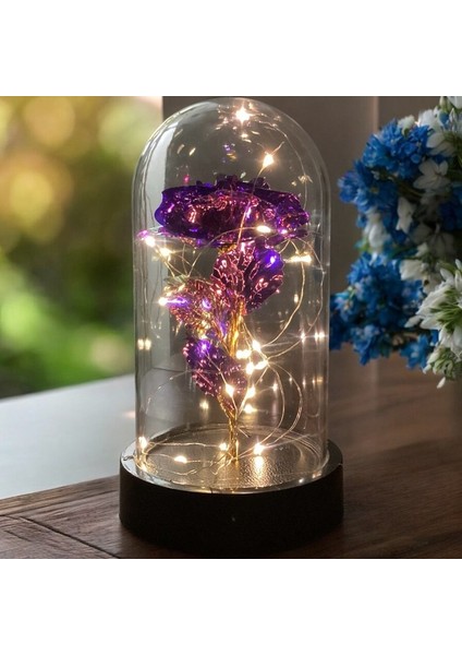 Fanus Içerisinde Dekoratif Sonsuzluk Gülü , Anneler Günü , Sevgililer Günü , Hediyelik