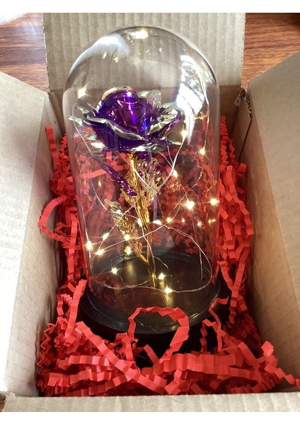 Fanus Içerisinde Dekoratif Sonsuzluk Gülü , Anneler Günü , Sevgililer Günü , Hediyelik fiyatları