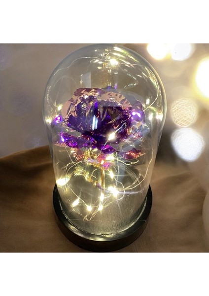 Fanus Içerisinde Dekoratif Sonsuzluk Gülü , Anneler Günü , Sevgililer Günü , Hediyelik modelleri