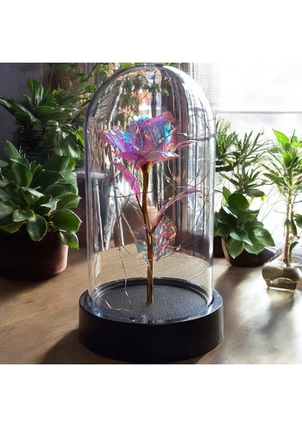 Fanus Içerisinde Dekoratif Sonsuzluk Gülü , Anneler Günü , Sevgililer Günü , Hediyelik fırsatları