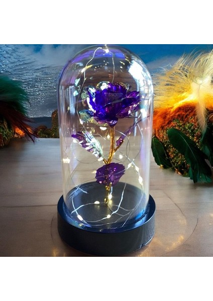 Fanus Içerisinde Dekoratif Sonsuzluk Gülü , Anneler Günü , Sevgililer Günü , Hediyelik indirimleri