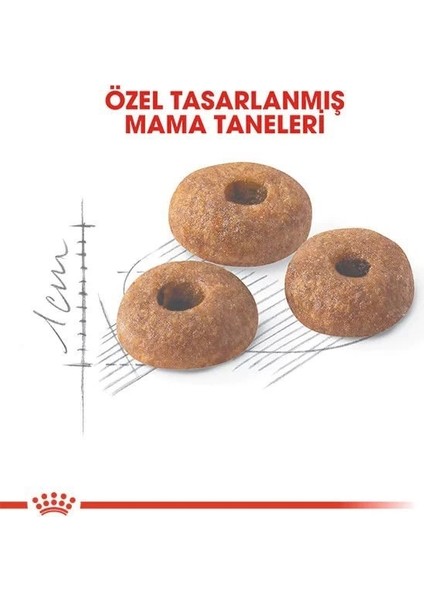 Fit 32 Yetişkin Kedi Maması 2 kg