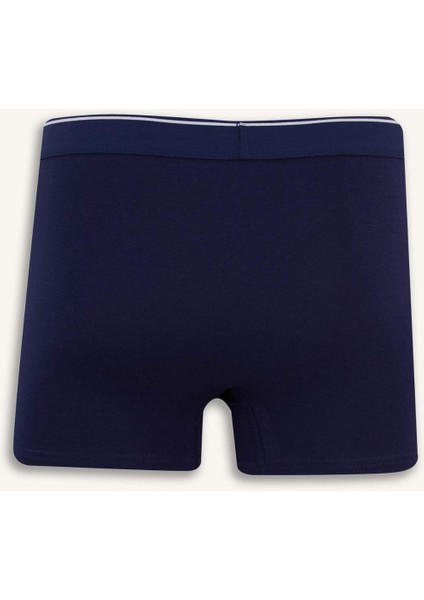 Regular Fit 5'li Boxer E7205AX25SM