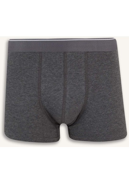 Regular Fit 5'li Boxer E7205AX25SM