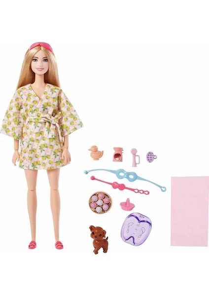 Barbie'nin Spa Günü Bebekleri Sarışın fiyatları