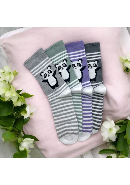 Panda Desenli Kız Çocuk Çorabı 4^lü fiyatları