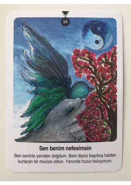 Eril & Dişil Kartları