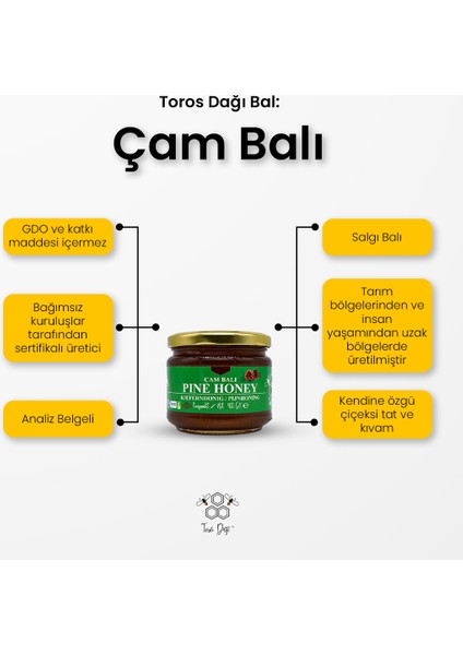 Çam Balı 400 gr modelleri