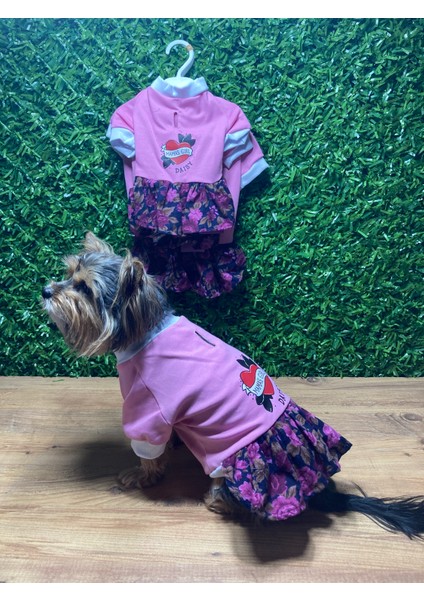 Pembe Pileli Penye Kedi Köpek Elbisesi