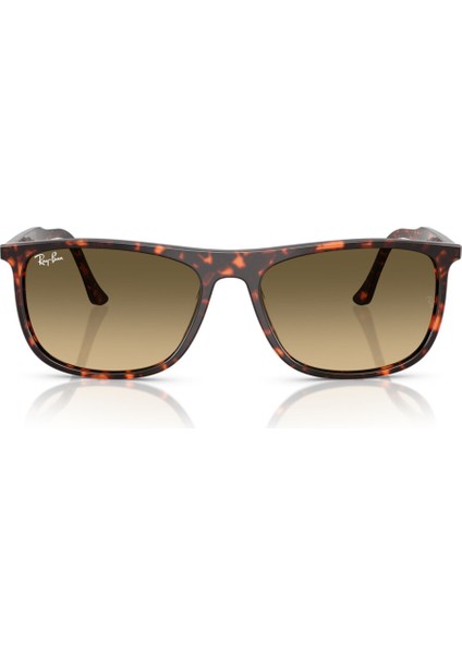 Ray-Ban 2216 14290A 58-18 Unisex Güneş Gözlüğü