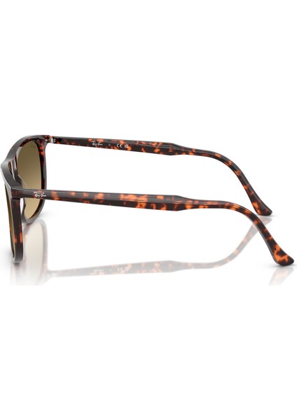 Ray-Ban 2216 14290A 58-18 Unisex Güneş Gözlüğü modelleri